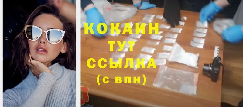 Cocaine Fish Scale  где купить   Киренск 