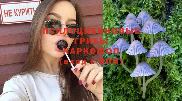 индика Белоозёрский